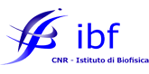 logo-ibf